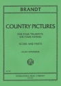 Country Pictures for 4 horns (trumpets) parts