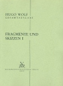 Fragmente und Skizzen Band 1 Faksimile