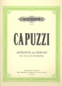 Andante and rondo from double bass concerto fr Klavier und Tuba (Euphonium, Posaune, Bass in Es, Bass in B)