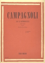 41 capricci op.22 per viola