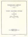 20 GRANDES ETUDES POUR CLARINETTE D'APRES SIVORI, CHARPENTIER, RODE FIORILLO, M. VIEUX