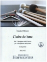 Clair de lune fr Vibraphon und Klavier