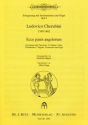 Ecce panis angelorum fr Sopran- oder Tenor solo, 2 Vl, Vla, 2 Klar., 2 Fag., Vc und Orgel Stimmenset