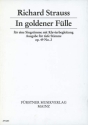 In goldener Flle op. 49,2 fr tiefe Stimme und Klavier (dt/en) REMER, PAUL, TEXT
