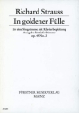 In goldener Flle op. 49,2 fr tiefe Stimme und Klavier (dt/en) REMER, PAUL, TEXT