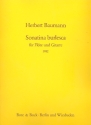 Sonatina burlesca fr Flte und Gitarre