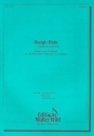 Sleigh Ride fr Akkordeonorchester Partitur