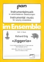 Jiggeria irisch-keltische Musik fr 3-5 Instrumente