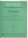 Triosonate G-Dur fr Flte, Oboe d'amore (Violine) und Bc 4 Stimmen