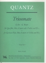Triosonate G-Dur  fr Flte, Oboe d'amore (Violine) und Bc 4 Stimmen