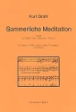 Sommerliche Meditation fr Sopran, Flte (Violine) oder Trompete und Orgel