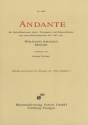 Andante KV647 fr Trompete und Blasorchester