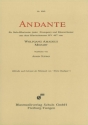 Andante KV647 fr Trompete und Blasorchester