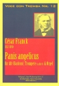 Panis angelicus op.12 fr Alt (Bar), Trompete und Orgel