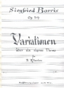 Variationen ber ein eigenes Thema op.59 fr 2 Klaviere Partitur