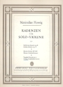 Kadenzen zur Violinsonate g-Moll fr Violine solo