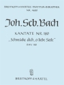 Schmücke dich o liebe Seele Kantate Nr.180 BWV180 Partitur
