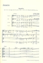 Magnificat C-Dur fr Alt, gem Chor und Orchester Chorpartitur