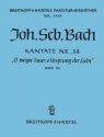 O ewiges Feuer o Ursprung der Liebe Kantate Nr.34 BWV34 Partitur