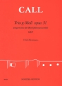 Trio g-Moll op.31 fr 3 Blockflten (SAT) Partitur und Stimmen