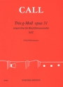 Trio g-Moll op.31  fr 3 Blockflten (SAT) Partitur und Stimmen