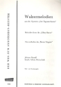 Walzermelodien aus der Operette Der Zigeunerbaron fr Akkordeon (mit 2. Stimme)