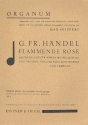 Flammende Rose fr Sopran, Violine und Bc (Cembalo) Partitur und Stimmen