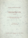 Triosonate C-Dur fr Altblockflte (Flte) und Bc