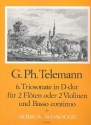 Triosonate D-Dur Nr.6 fr 2 Flten oder Violinen und Bc