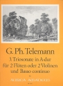 Triosonate A-Dur Nr.3 fr 2 Flten (Violinen) und Bc