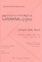 Sonate a-Moll BWV1020 fr Violine und Gitarre