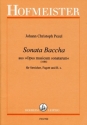 Sonata baccha fr Fagott, Streicher und Bc Partitur und Stimmen