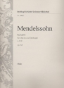 Konzert e-Moll op.64 fr Violine und Orchester Viola