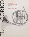 Variationen op. 31 fr Horn und Klavier