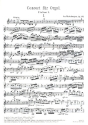 Konzert g-Moll Nr.2 op.177 fr Orgel und Orchester Violine 1