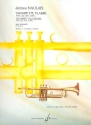 Trompette plaisir vol.2 Rock Jazz Latin Samba 22 etudes
