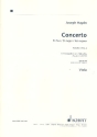 Konzert D-Dur op.101 Hob.VIIb:2 fr Violoncello und Orchester Viola