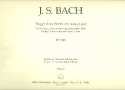 Singet dem Herrn ein neues Lied Motette BWV225 fr 2 gem Chre Orgel