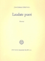 Laudate pueri fr Tenor, Trompete, 2 Violinen, Viola und Bc Partitur (la)