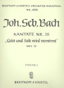 Geist und Seele wird verwirret Kantate Nr.35 BWV35 Violine 1