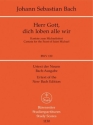 Herr Gott dich loben alle wir Kantate Nr.130 BWV130 Studienpartitur