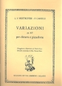 Variazioni op.169 per chitarra e pianoforte