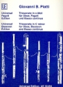 Triosonate c-Moll fr Oboe, Fagott und Bc