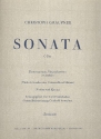 Sonate C-Dur fr Flte, Viola d'amore und Bc