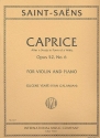 Caprice after a Study in Form of a Waltz op.52,6 for violin and piano