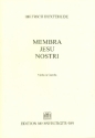 Membra Jesu nostri fr Soli, Chor (SSATB), Streicher und Orgel Viola da gamba