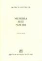 Membra Jesu nostri fr Soli, Chor (SSATB), Streicher und Orgel Viola da gamba