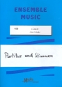 Kanon fr Streicher, Blser und Klavier Partitur und Stimmen