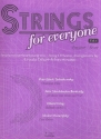 Strings for everyone vol.1 fr Streichorchester Partitur