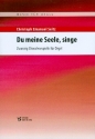 Du meine Seele, singe fr Orgel